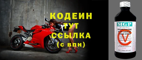 шишки Осташков