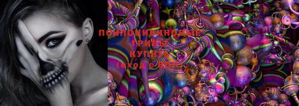 крисы Абдулино