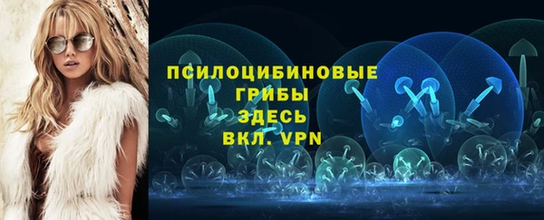 гашик Абинск