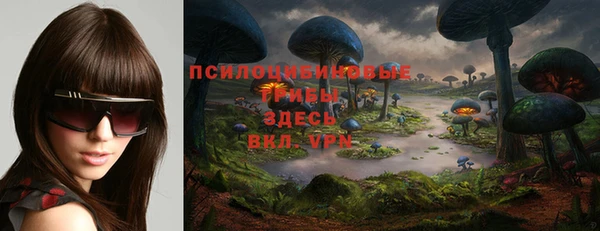 крисы Абдулино