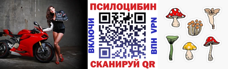 Галлюциногенные грибы Magic Shrooms  блэк спрут ТОР  Новоалександровск 