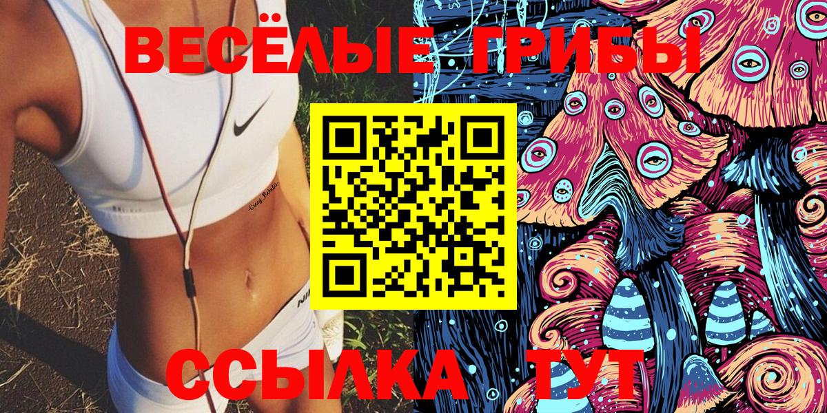 Псилоцибиновые грибы прущие грибы  Вход с VPN  Галлюциногенные грибы GOLDEN TEACHER  Новоалександровск 